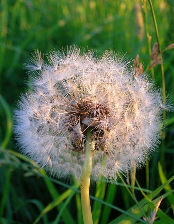 auf den wind warten