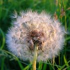 auf den wind warten