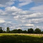 auf-der-abendlichen-Runde