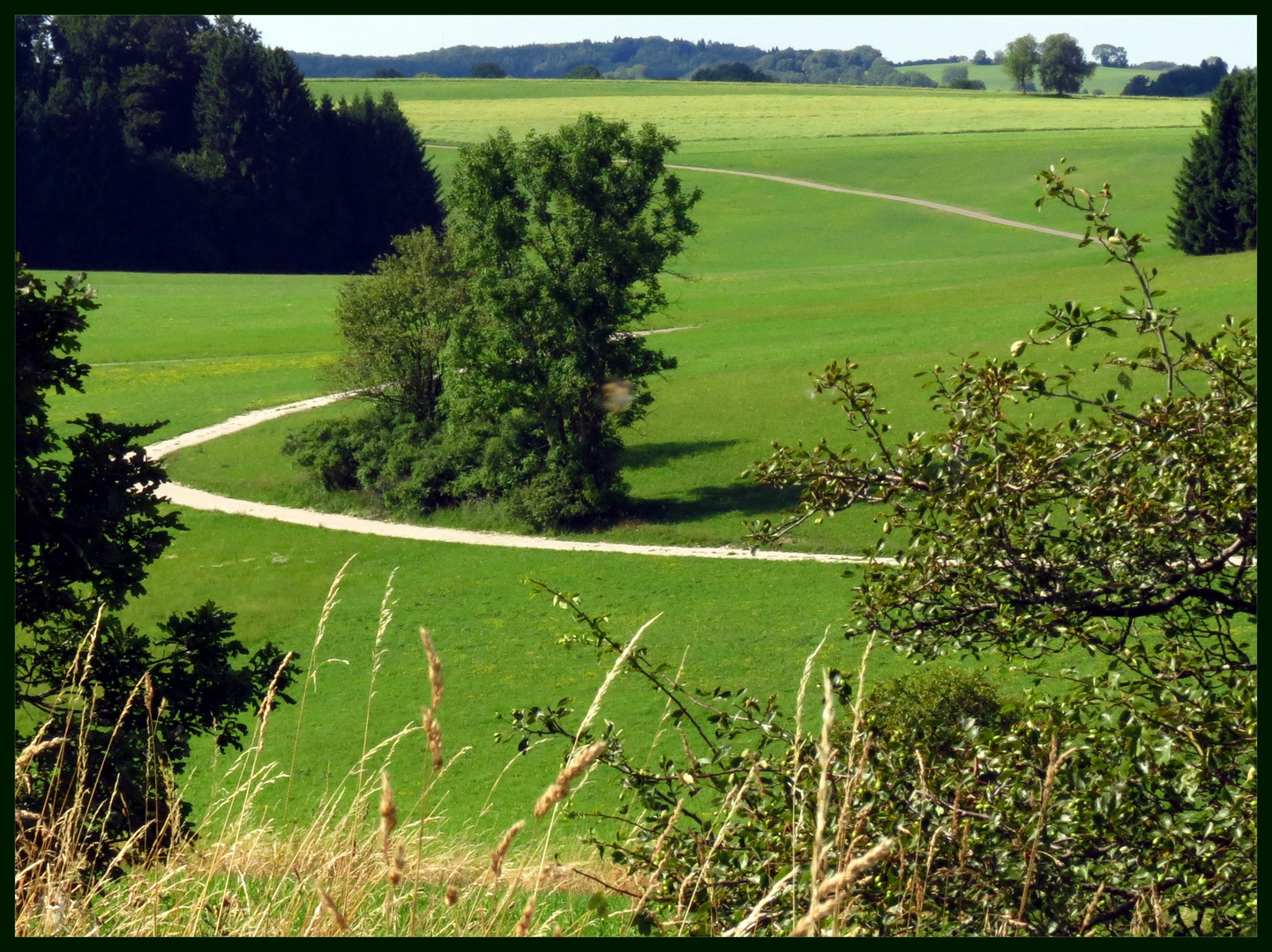 auf der Alb Foto & Bild landschaft, Äcker, felder & wiesen, natur