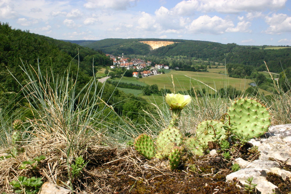 Auf der Alb