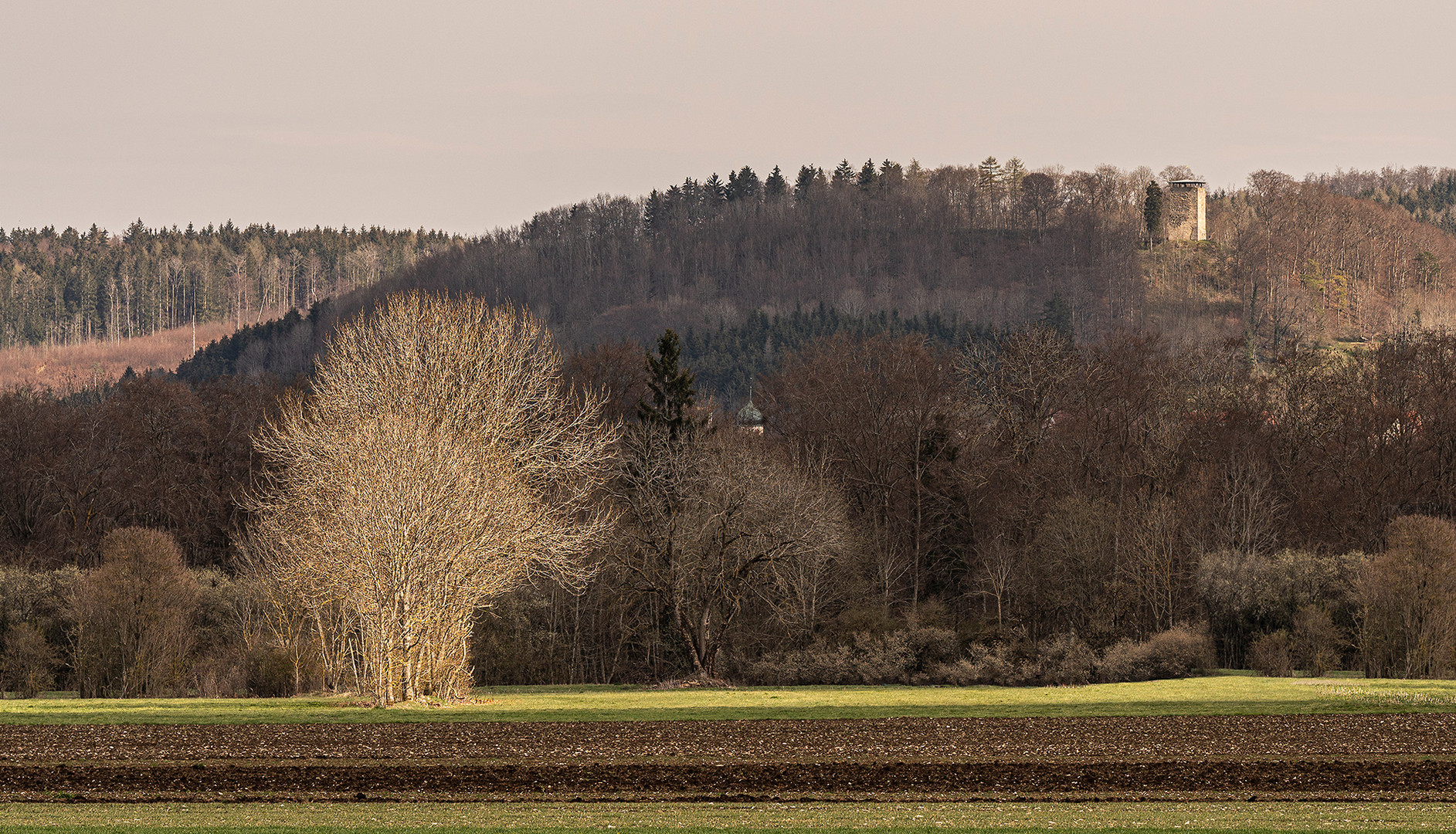 Auf der Alb, Ringingen