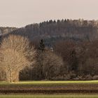 Auf der Alb, Ringingen