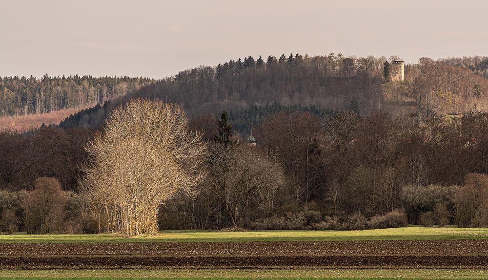 Auf der Alb, Ringingen