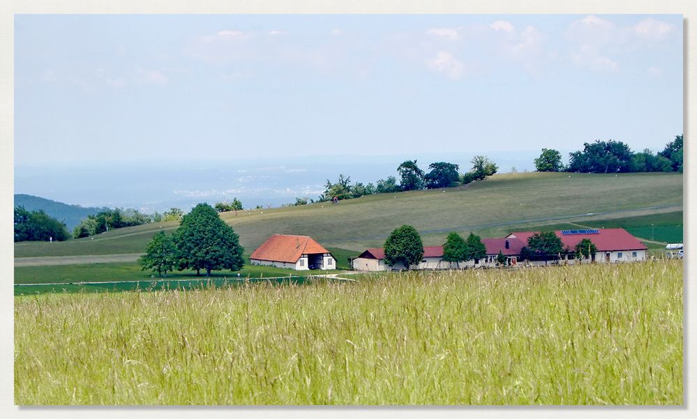 auf der Albhochfläche - beim Rossfeld