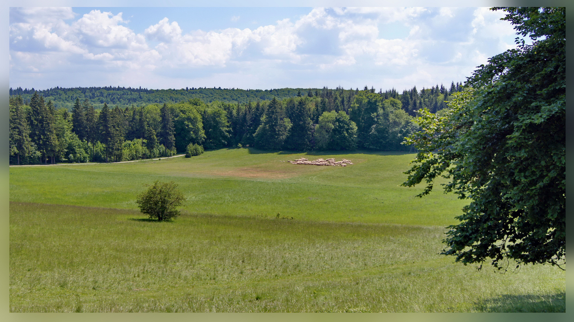 auf der Albhochfläche