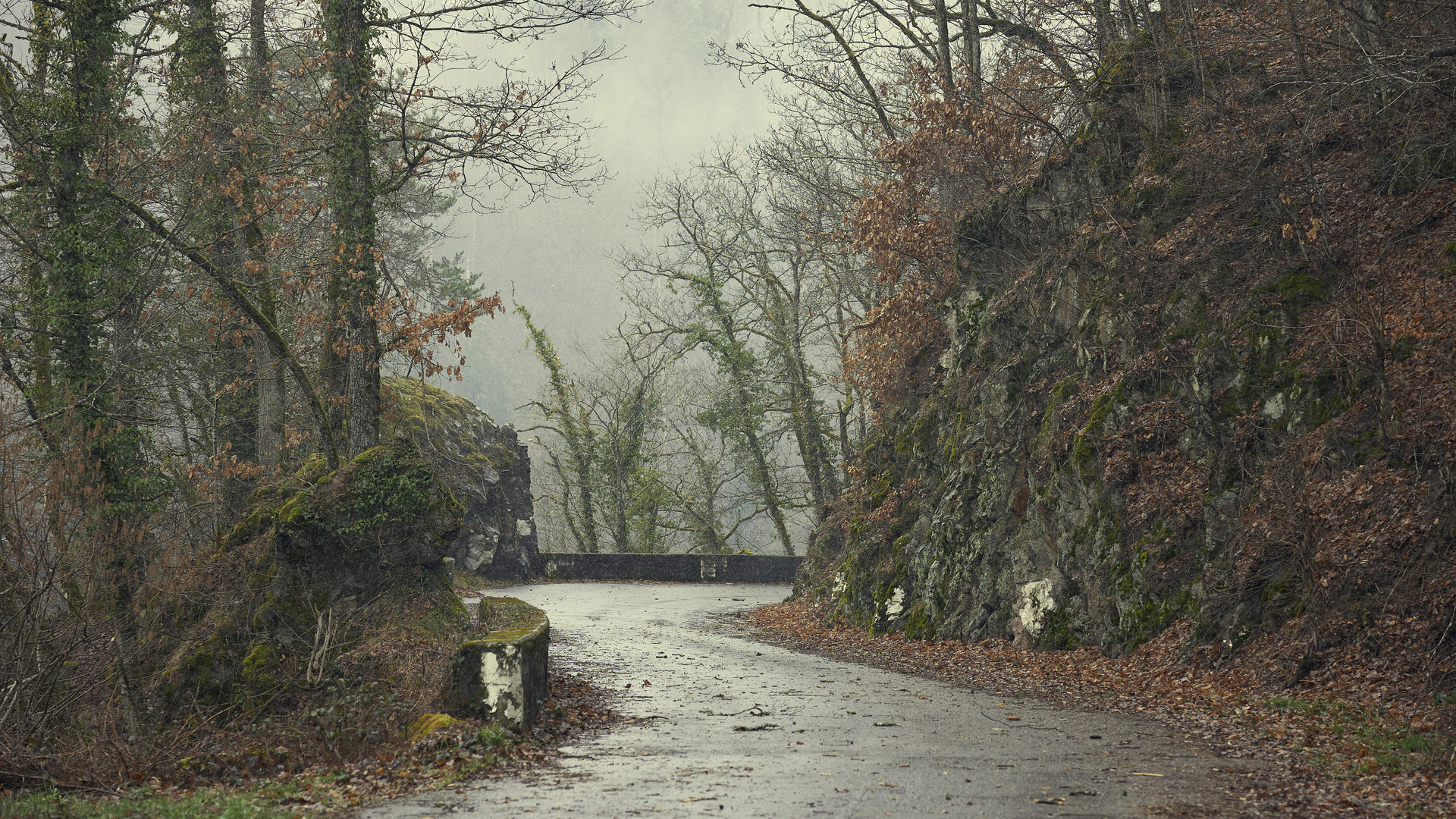 auf der Albtal Straße