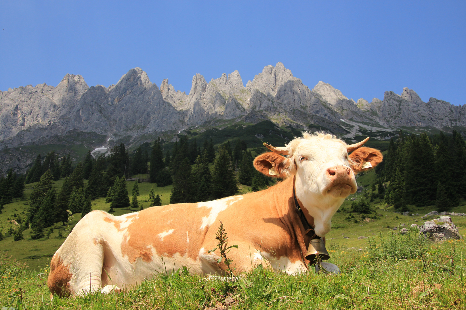 Auf der Alm