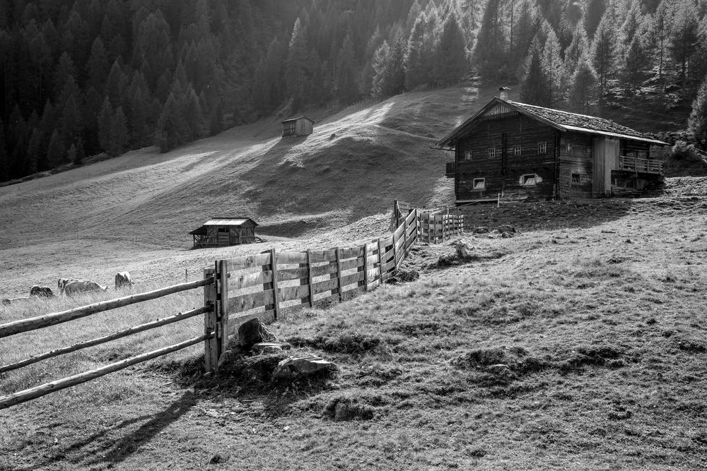 Auf der Alm 1