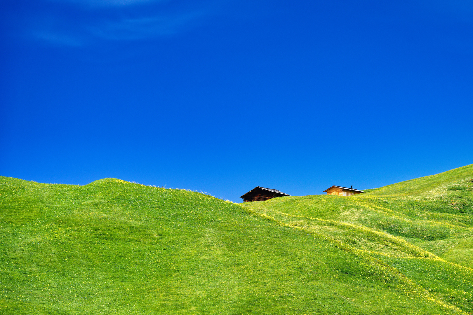 Auf der Alm