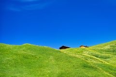 Auf der Alm