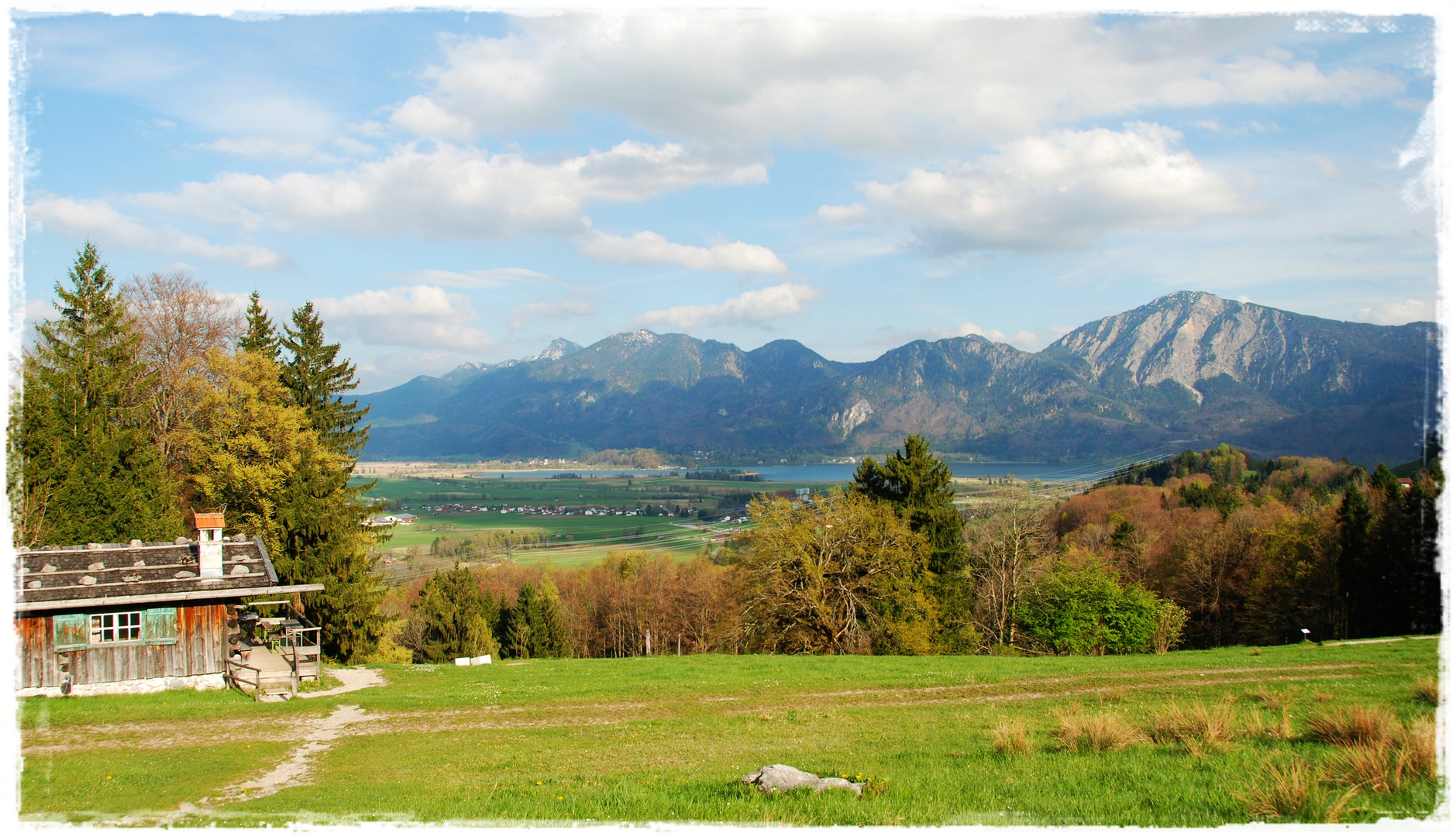 auf der alm....