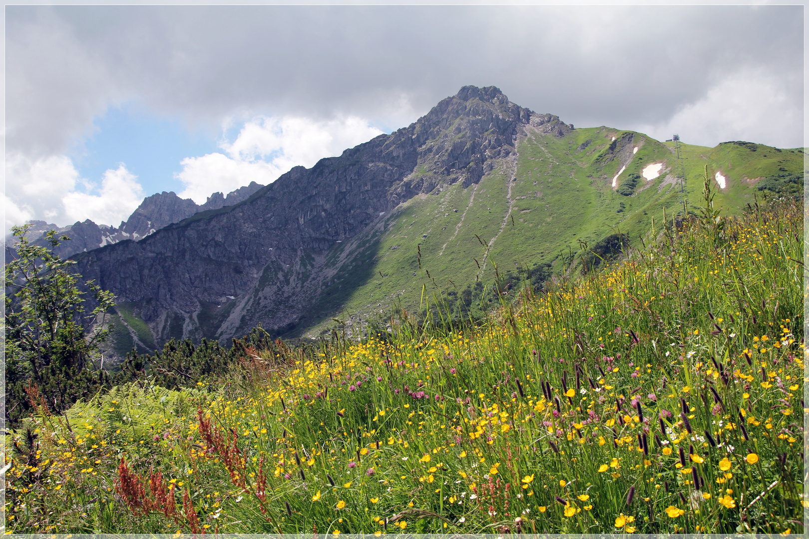 auf der Alm