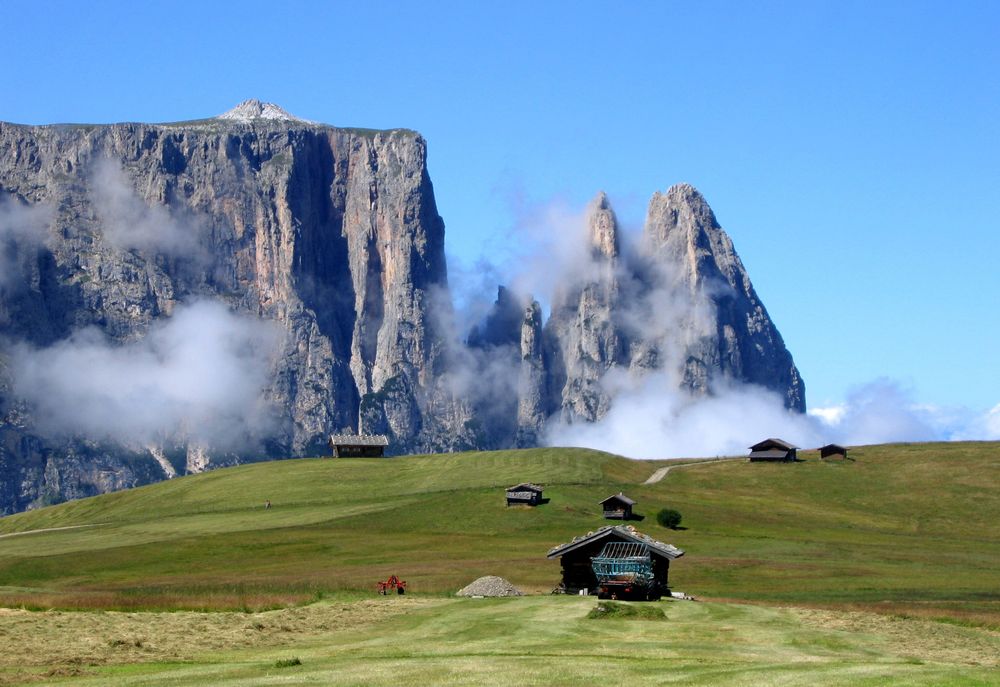 Auf der Alm