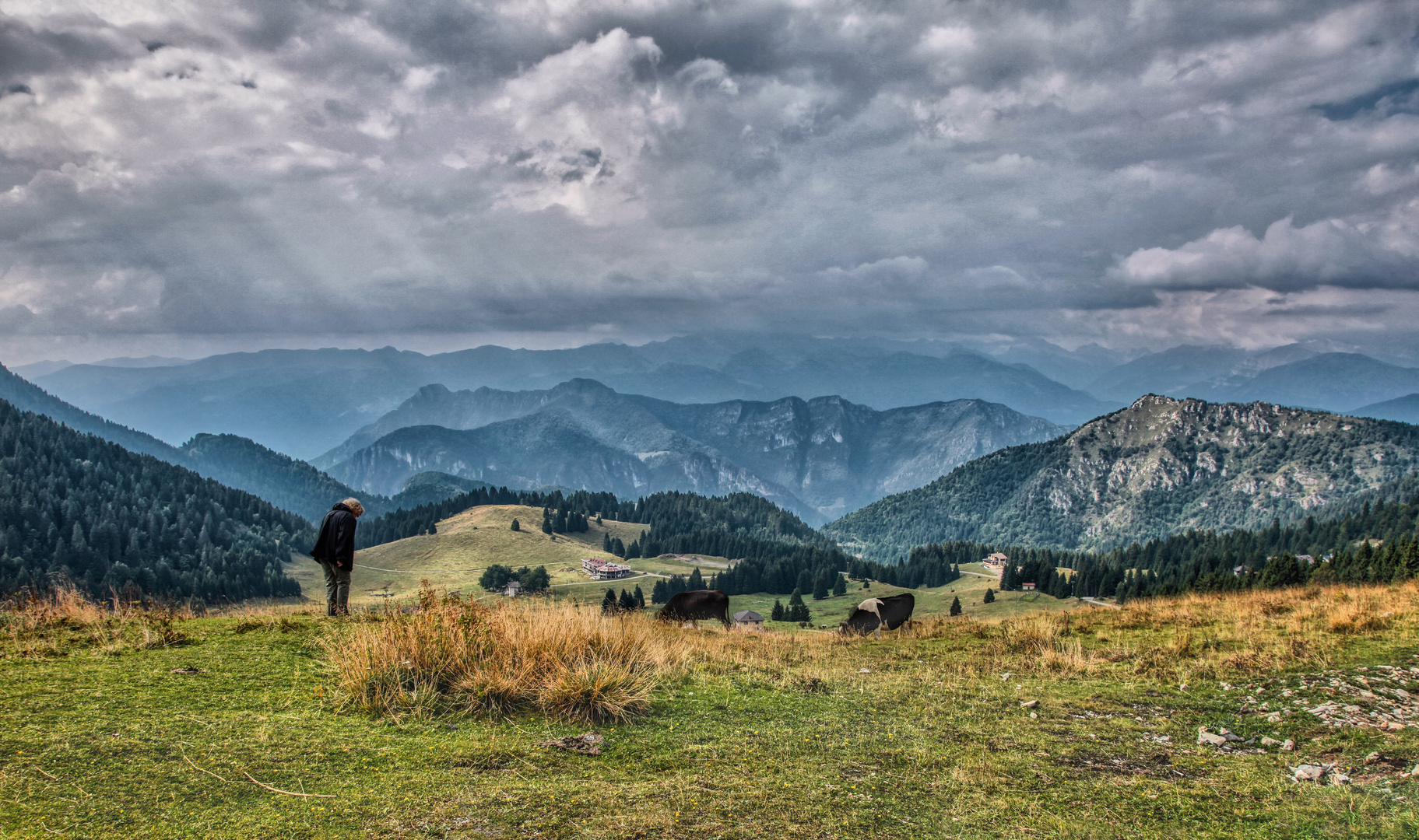 Auf der Alm