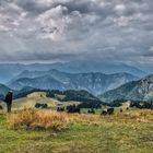 Auf der Alm