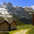 Auf der Alm ...