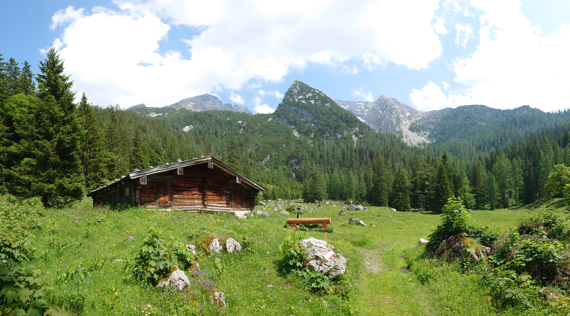 Auf der Alm 