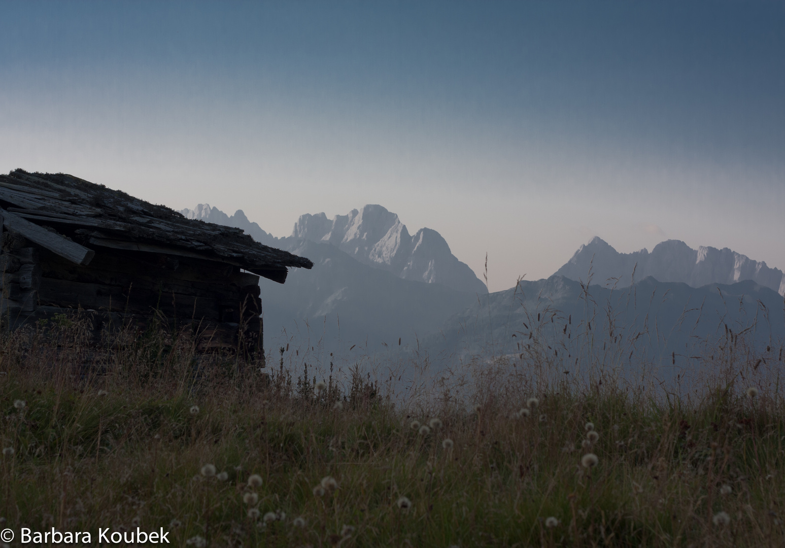 Auf der Alm ....