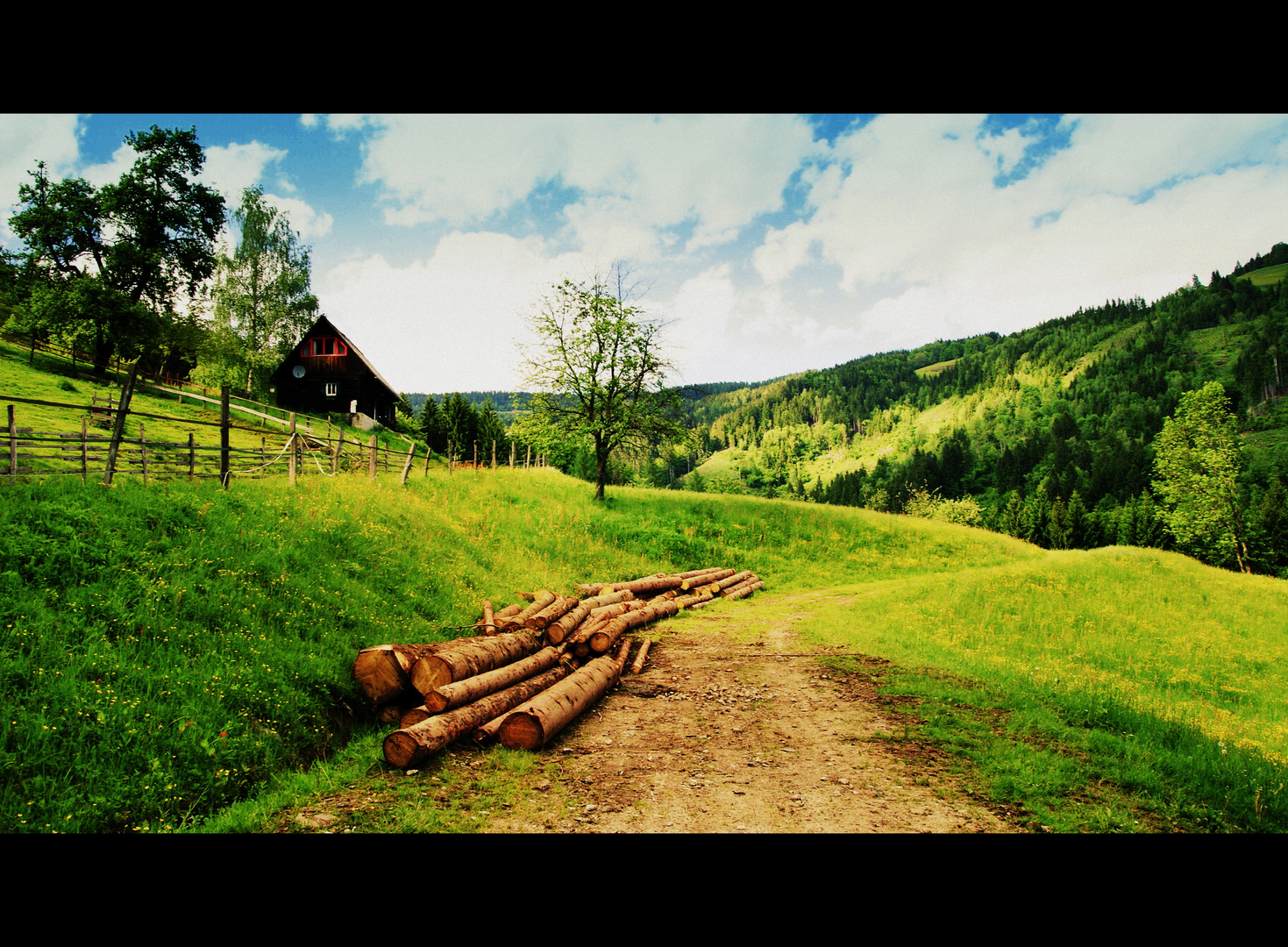 auf der Alm