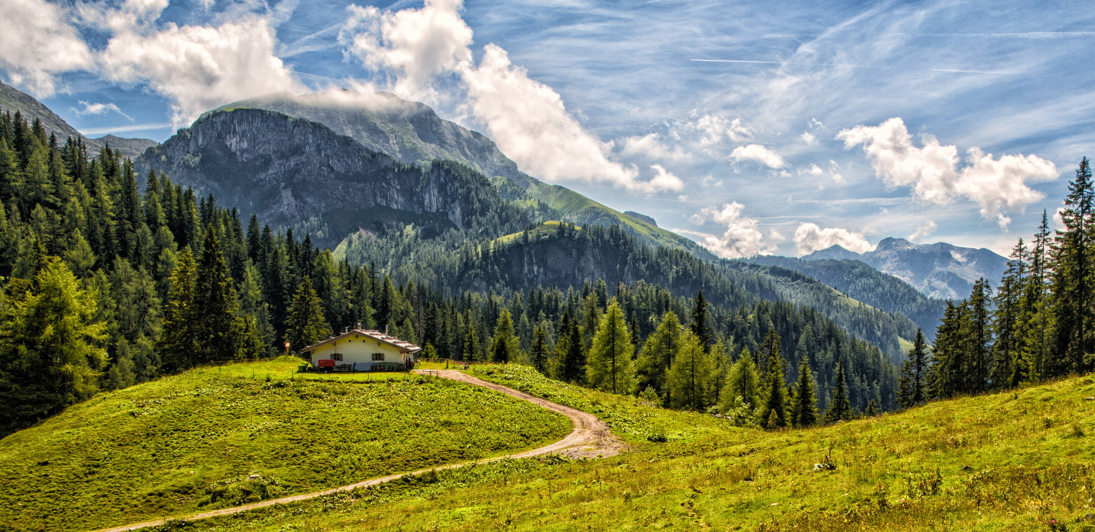 auf der Alm...