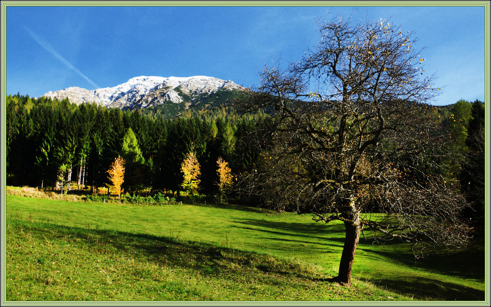 Auf der Alm 2