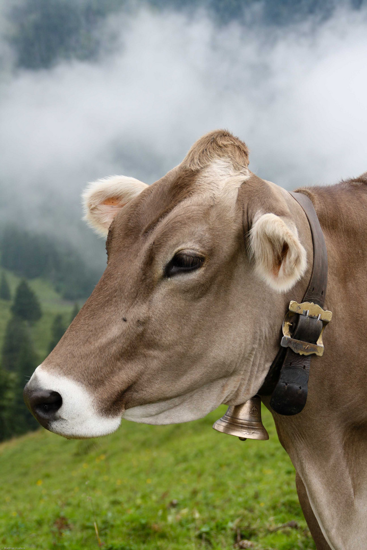 Auf der Alm