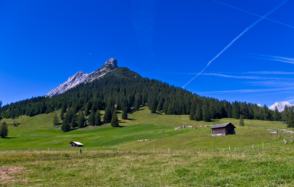 Auf der Alm :-)