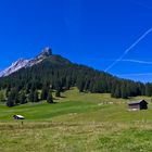 Auf der Alm :-)