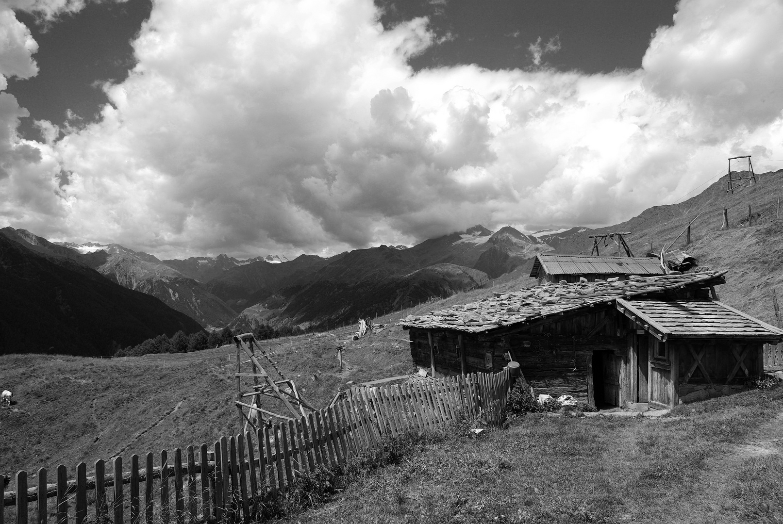 Auf der Alm