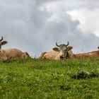 Auf der Alm