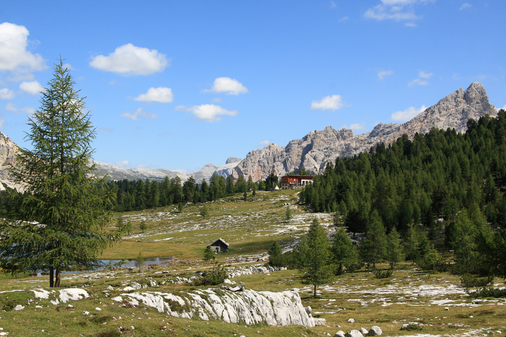 Auf der Alm ...