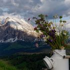 Auf der Alm