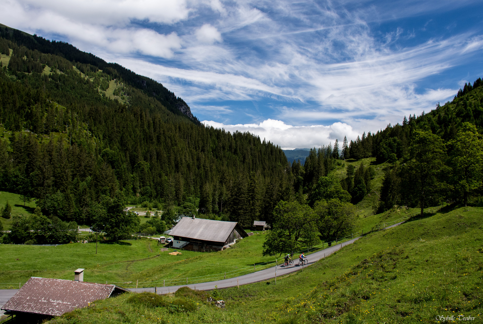 Auf der Alm