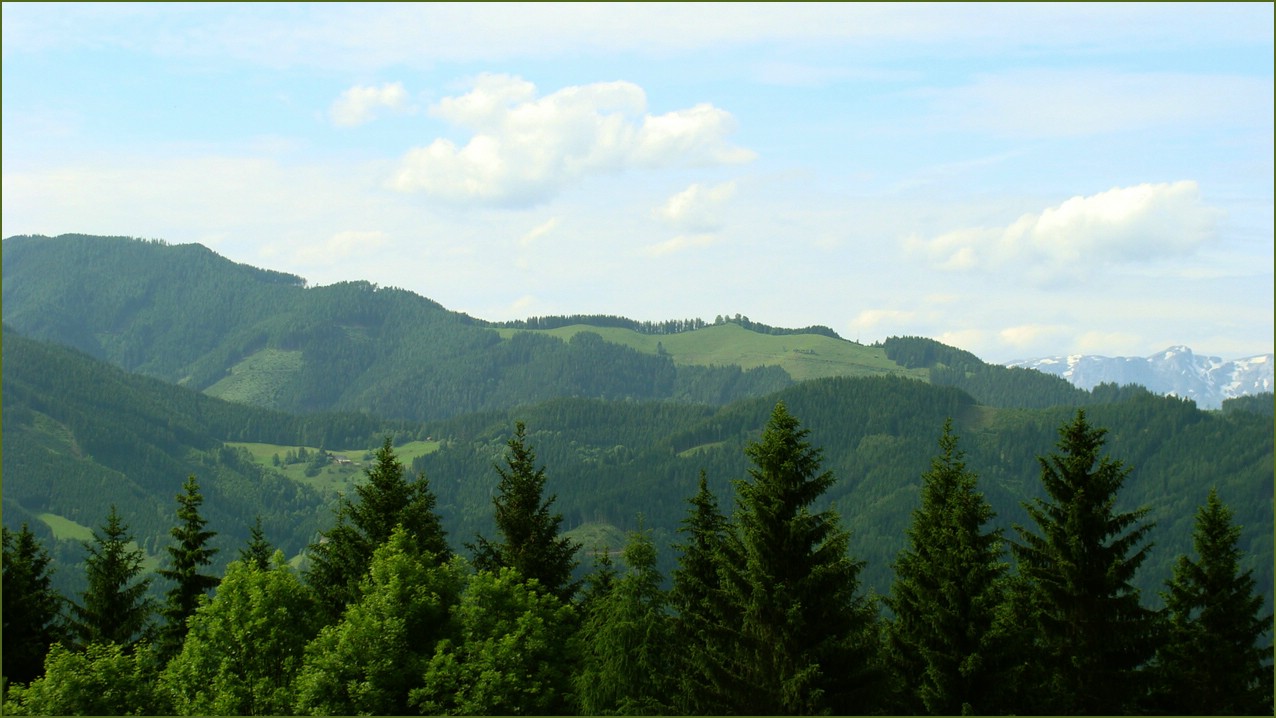 Auf der Alm