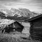 auf der Alm