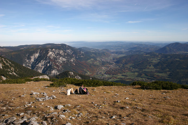 Auf der Alm...