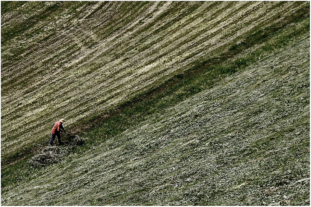 Auf der Alm ....