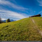 auf der alm