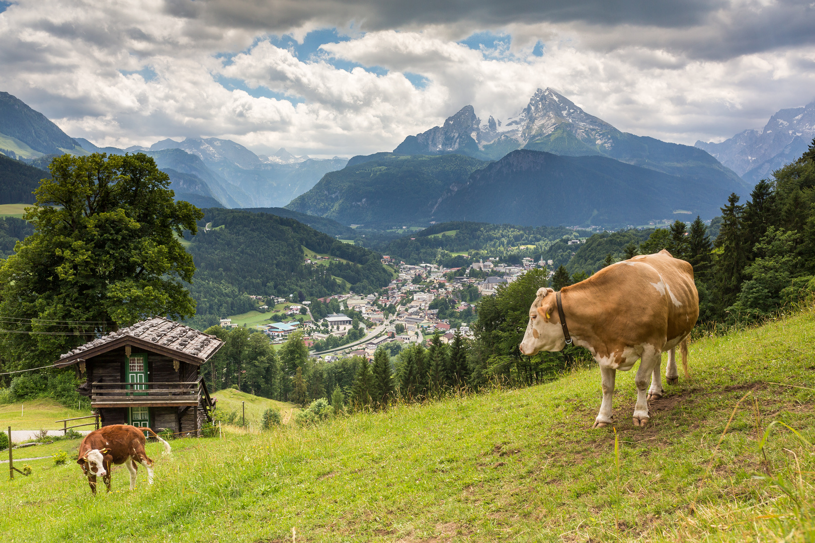 Urlaub auf der Alm: Hüttenurlaub im SalzburgerLand