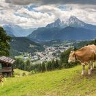 Auf der Alm