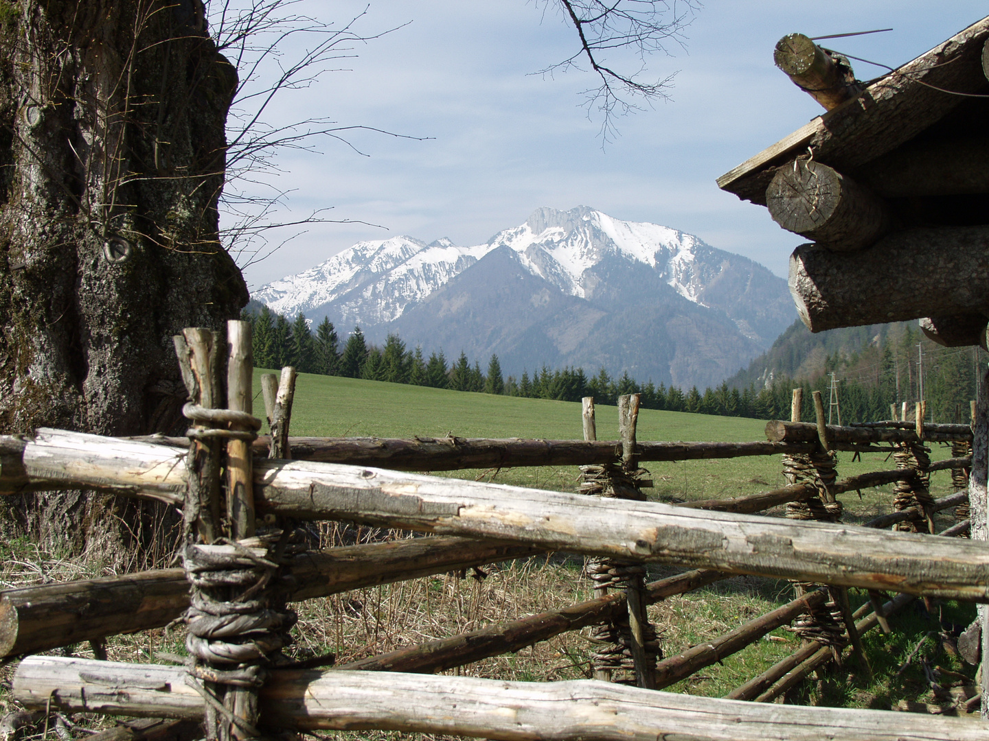 Auf der Alm