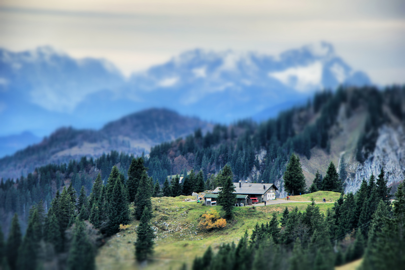 Auf der Alm