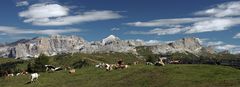 Auf der Alm ..