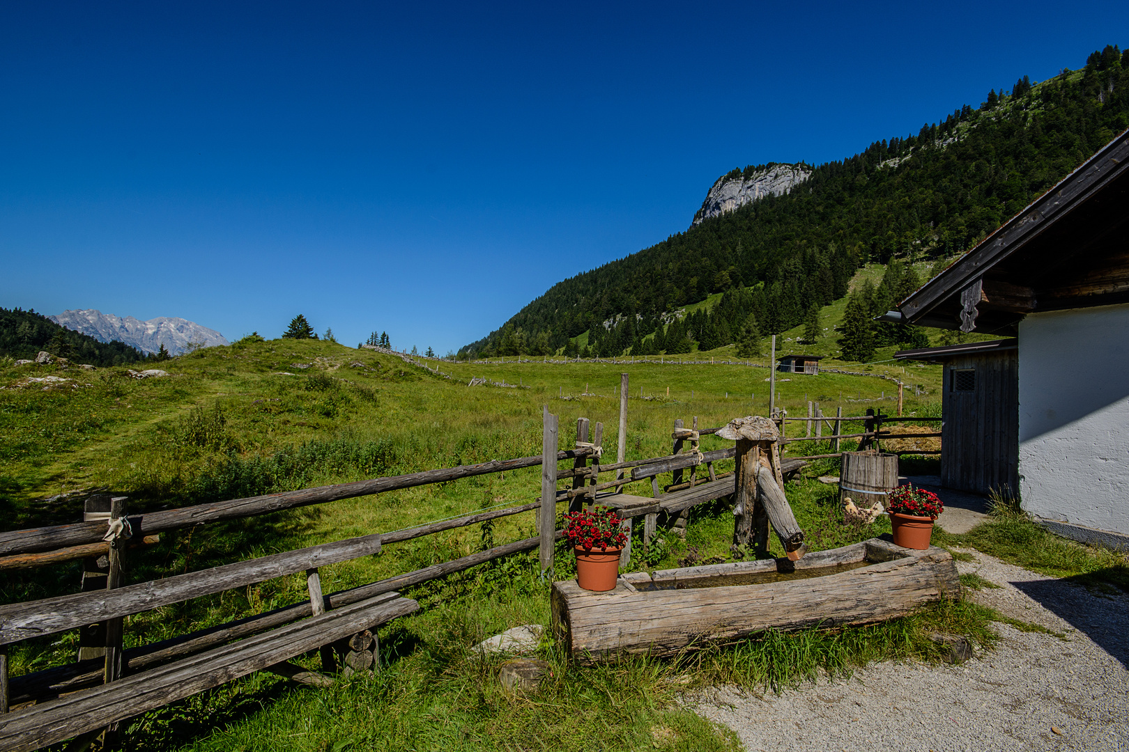 auf der Alm