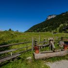 auf der Alm