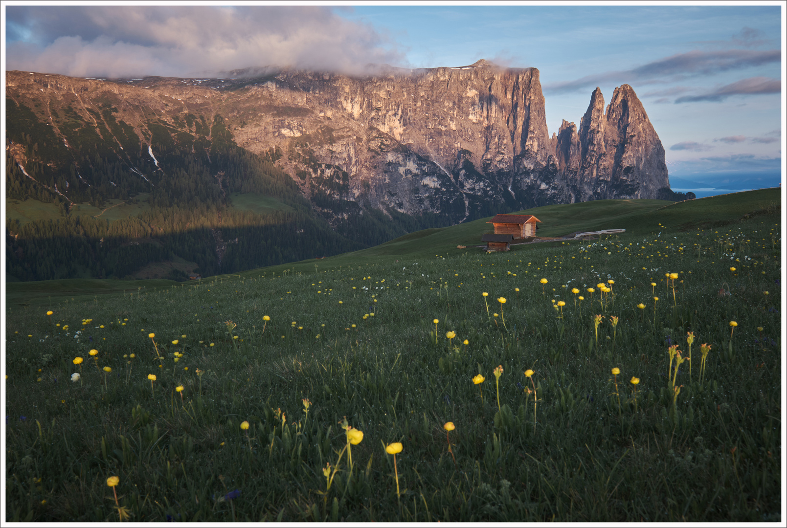 Auf der Alm