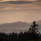 Auf der Alm