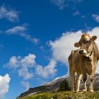 auf der Alm