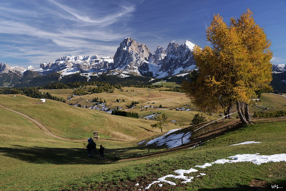 Auf der Alm